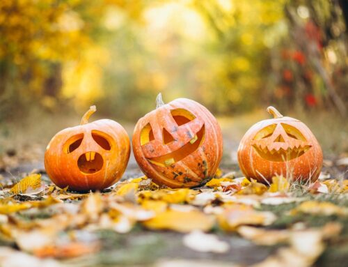 Progetto PRIMAI: il 29 ottobre a Sora festa di Halloween per bambini e famiglie